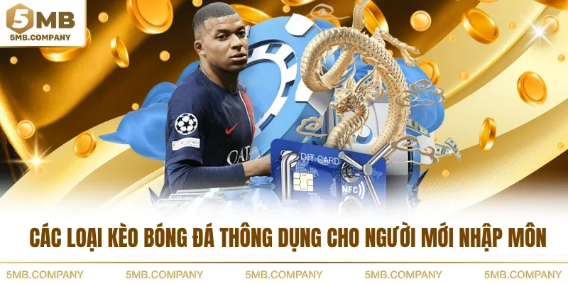 Các Loại Kèo Bóng Đá Thông Dụng Cho Người Mới Nhập Môn