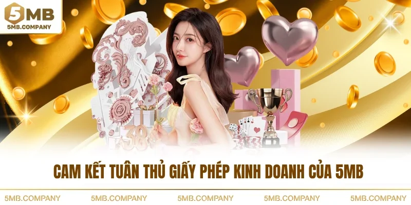 Cam kết tuân thủ giấy phép kinh doanh của 5MB