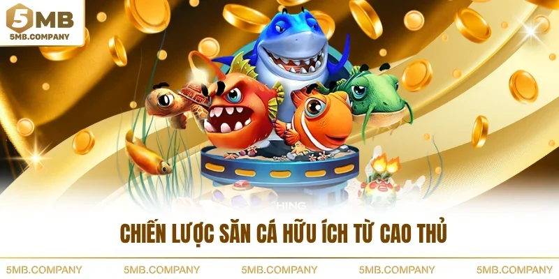 Chiến lược săn cá hữu ích từ cao thủ