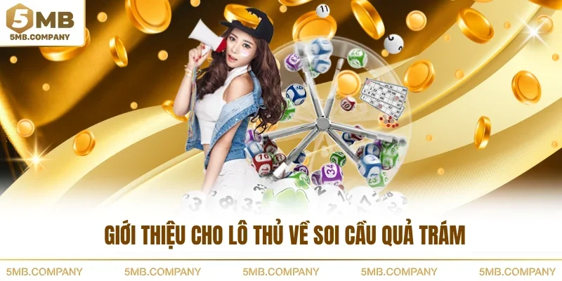 Giới thiệu cho lô thủ về soi cầu quả trám
