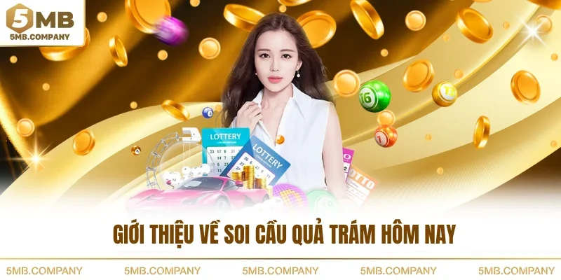 Giới thiệu về soi cầu quả trám hôm nay