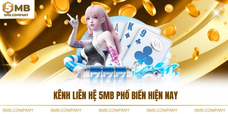 Kênh liên hệ 5MB phổ biến hiện nay