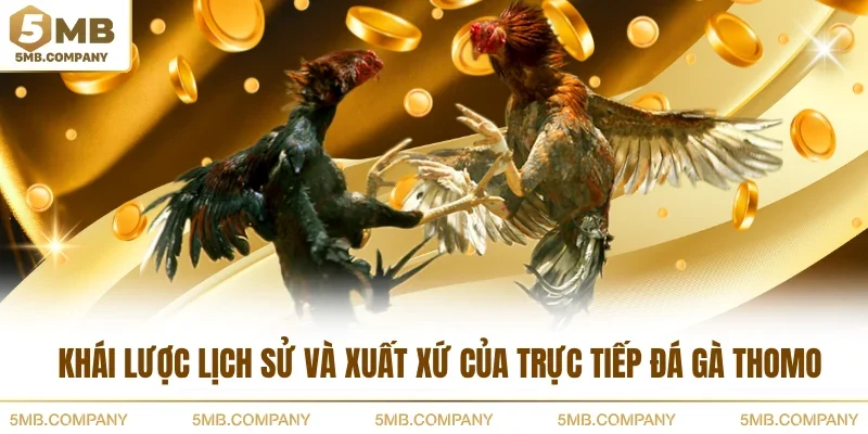 Khái lược lịch sử và xuất xứ của trực tiếp đá gà Thomo