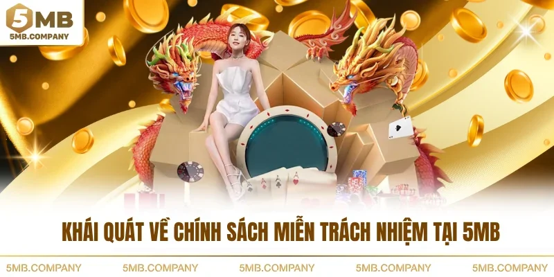Khái quát về chính sách miễn trách nhiệm tại 5MB