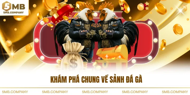 Khám phá chung về sảnh đá gà