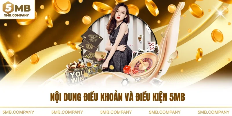 Nội dung điều khoản và điều kiện 5MB