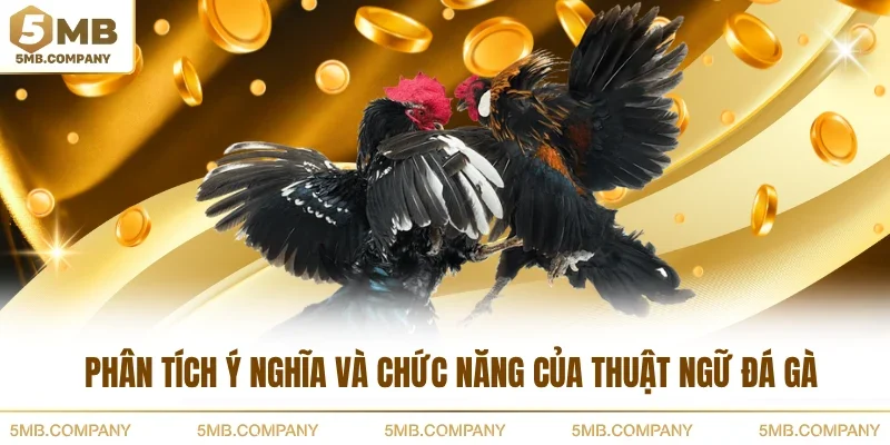 Phân tích ý nghĩa và chức năng của thuật ngữ đá gà