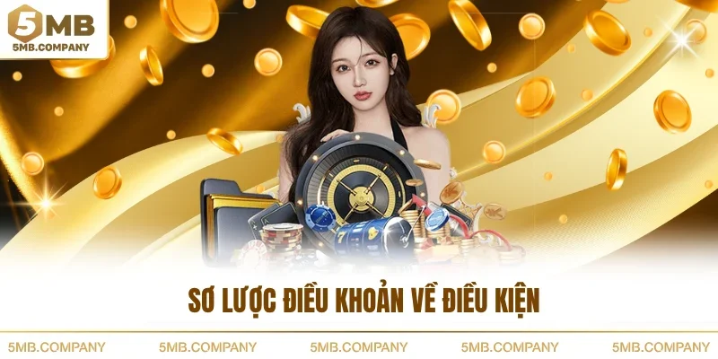 Sơ lược điều khoản về điều kiện