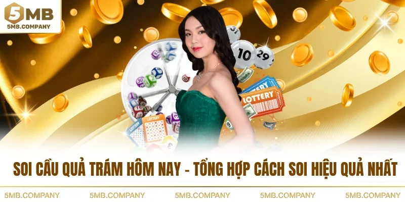 Soi Cầu Quả Trám Hôm Nay - Tổng Hợp Cách Soi Hiệu Quả Nhất