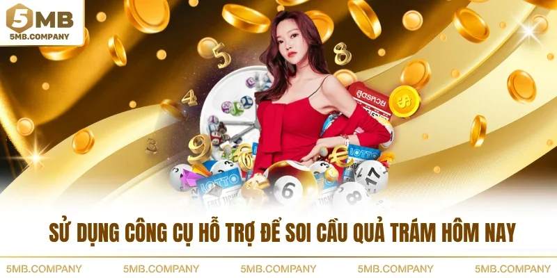 Sử dụng công cụ hỗ trợ để soi cầu quả trám hôm nay