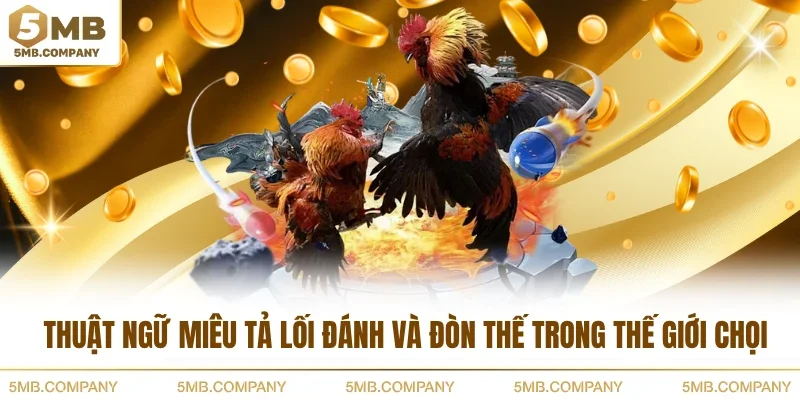 Thuật ngữ miêu tả lối đánh và đòn thế trong thế giới chọi