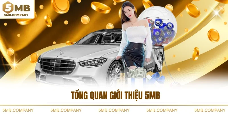 Tổng quan giới thiệu 5MB
