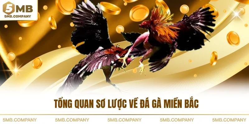 Tổng quan sơ lược về đá gà miền Bắc