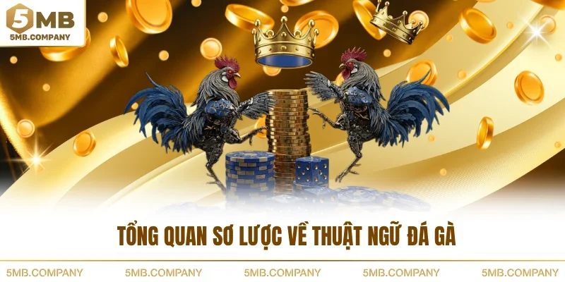 Tổng quan sơ lược về thuật ngữ đá gà