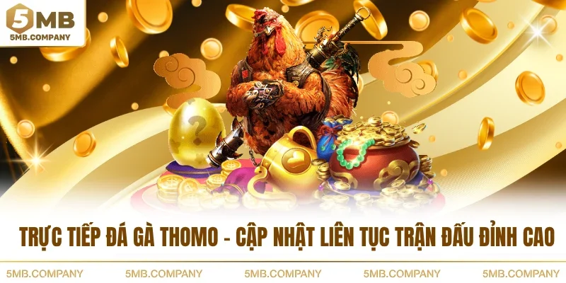 Trực Tiếp Đá Gà Thomo - Cập Nhật Liên Tục Trận Đấu Đỉnh Cao