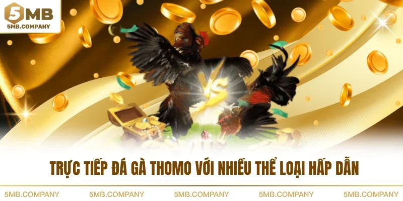 Trực tiếp đá gà Thomo với nhiều thể loại hấp dẫn
